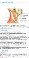 Human Anatomy E Theories スクリーンショット 3