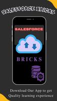 Salesforce Bricks captura de pantalla 1