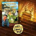 Wonders of Allah’s Creation