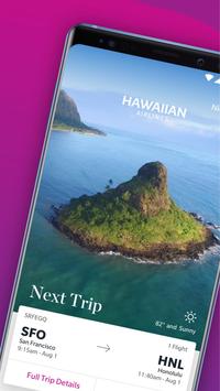 Hawaiian 海报