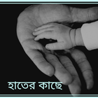 সরি icon