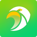 Scooper News: Trending News, Videos, Live Football