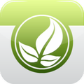 Air Cleaning Plants