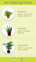 Air Cleaning Plants poster