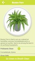 1 Schermata Air Cleaning Plants