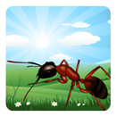 Ant Farm APK