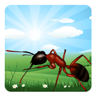 Ant Farm icône
