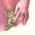 Alice Dalí AR