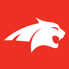 Airport Lynx icon