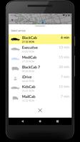 BlackCab скриншот 2