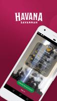 Havana Savannah Plakat