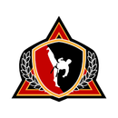 Haynes Martial Arts Academy APK