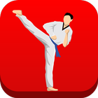 آیکون‌ Taekwondo Workout