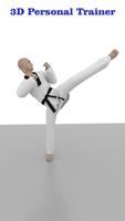 Taekwondo Workout اسکرین شاٹ 1