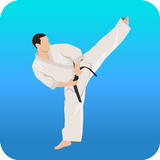 Karate Workout icon
