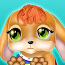 Adopt Virtual Stray Dog: Pet C APK