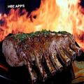 Barbeque & Grill Recipes