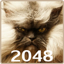 20 48 Cats Puzzle APK