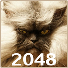 20 48 Cats Puzzle أيقونة