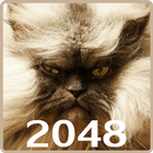 20 48 Cats Puzzle ícone