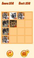 20 48 Cats Puzzle Affiche