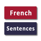 Learn French Sentences 圖標