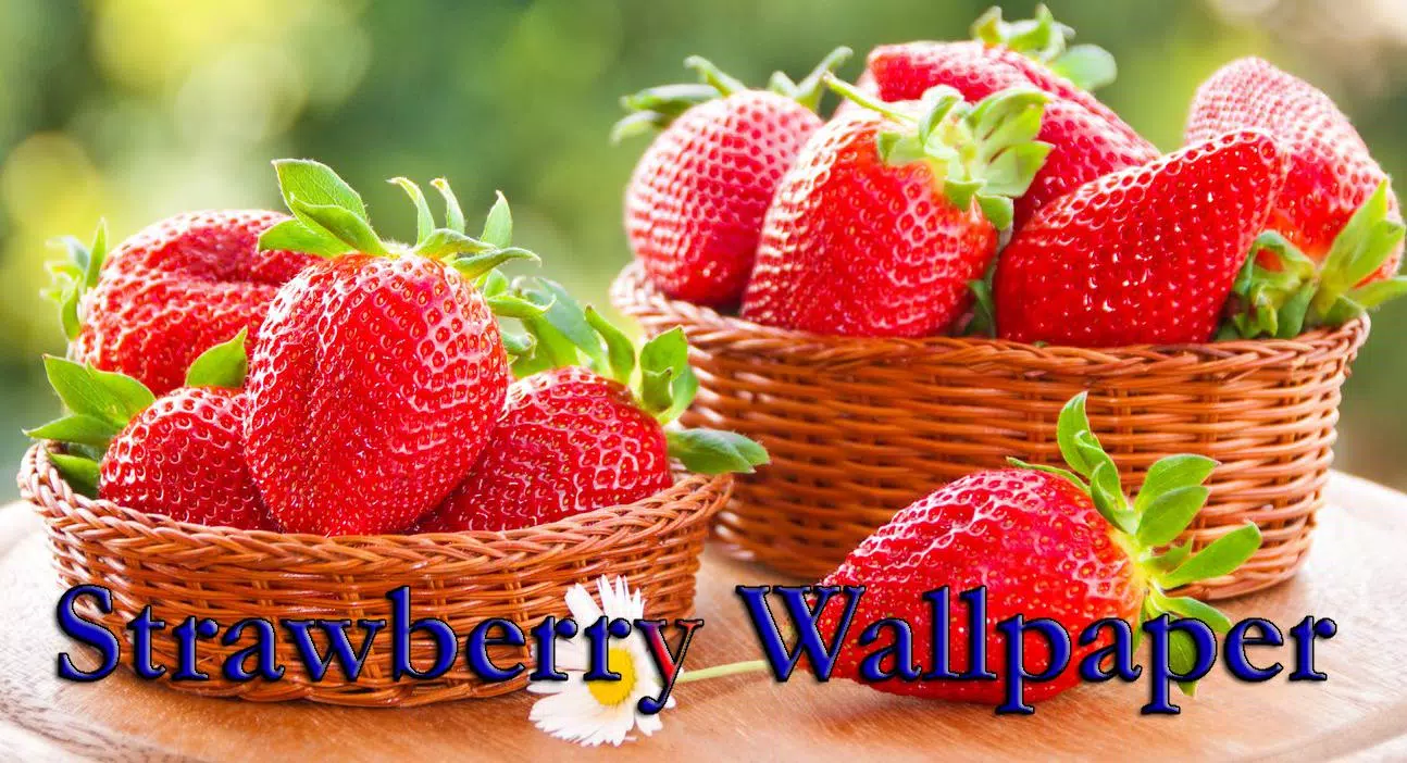 Tải xuống APK Strawberry Wallpaper cho Android