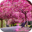 Beautiful Spring Wallpaper 4K APK