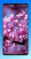 Beautiful Spring Wallpaper 4K Ekran Görüntüsü 1