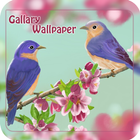 gallaryHDwallpaper icon