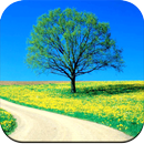 Nature Wallpaper 4K APK