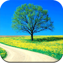 Nature Wallpaper 4K-APK