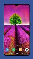 Nature Wallpaper Affiche