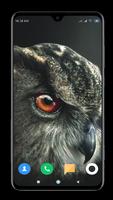 Owl Wallpaper Affiche