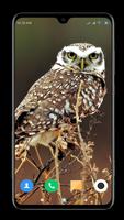 Owl Wallpaper capture d'écran 2