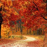 Herbst Hintergrund