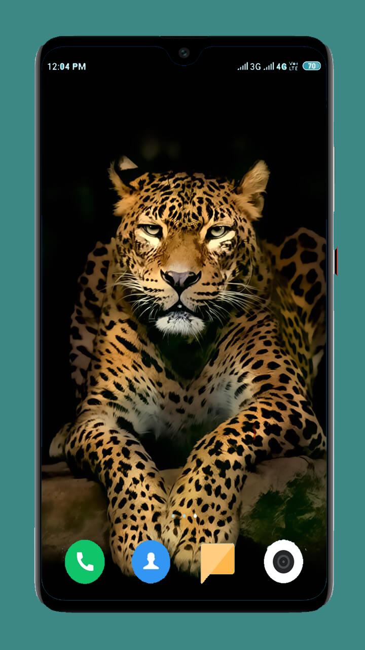 Tải xuống APK Wild Animal Wallpaper cho Android