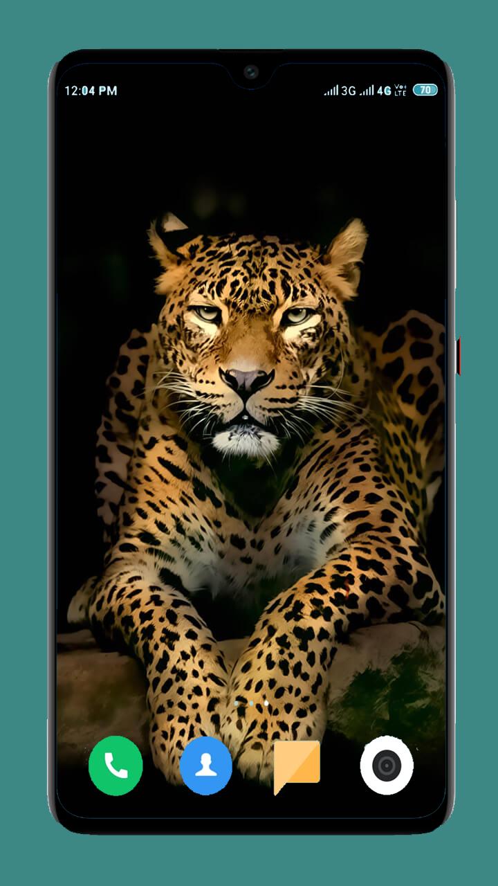 Tải xuống APK Wild Animal Wallpaper cho Android Tải xuống APK Wild Animal Wallpaper cho Android
