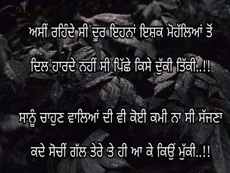 punjabi Love Shayari Wallpaper 2020 APK للاندرويد تنزيل punjabi Love Shayari Wallpaper 2020 APK للاندرويد تنزيل