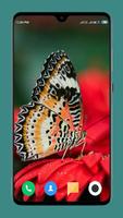 Butterfly Wallpaper تصوير الشاشة 1