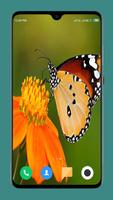 Butterfly Wallpaper स्क्रीनशॉट 2