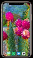 Cactus Flowers Wallpaper スクリーンショット 2