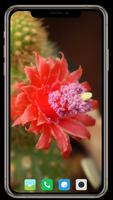 Cactus Flowers Wallpaper スクリーンショット 3