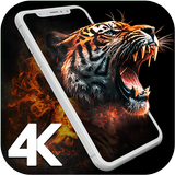 4K Wallpapers - HD Backgrounds APK
