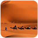 Desert Wallpaper APK