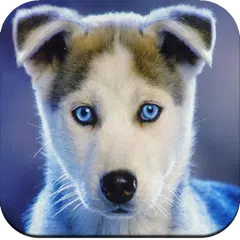 Dog Wallpaper 4K Icon