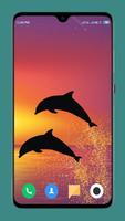 Dolphin Wallpaper Affiche