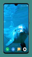 Dolphin Wallpaper capture d'écran 2