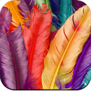 APK Feather wallpaper HD