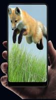 Fox Wallpaper Poster